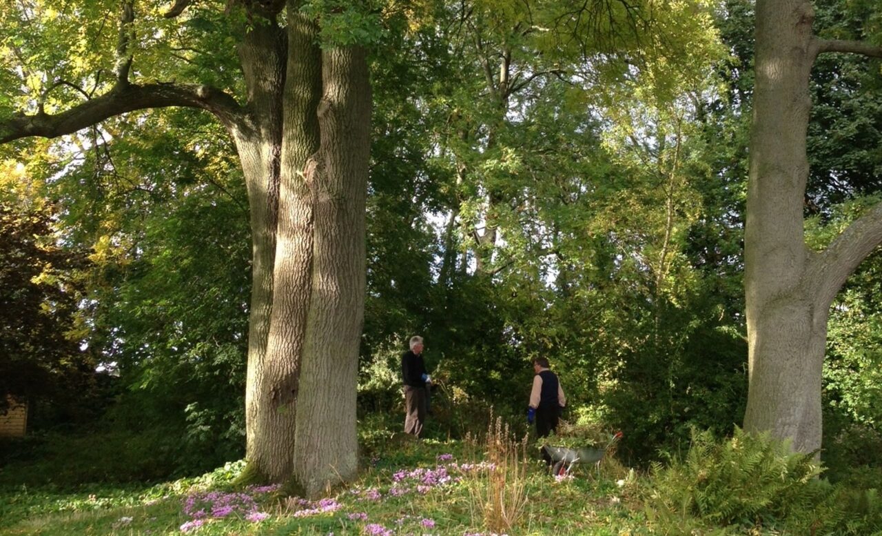 Garden Volunteers Shandy Hall